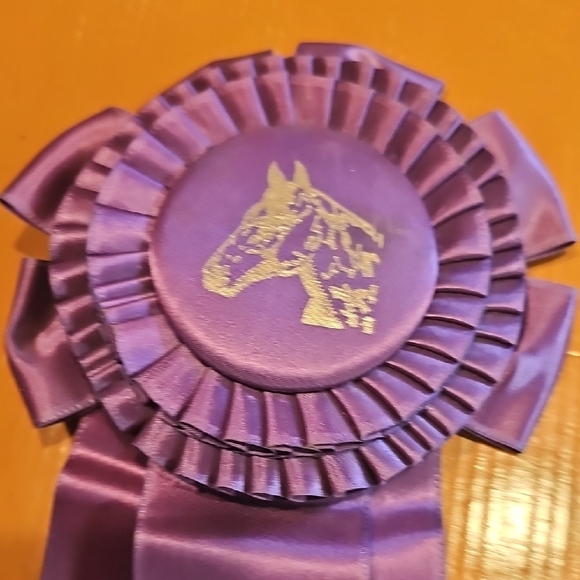 4 Vintage original 1967 1968 Horse Show Rosettes Bosque Farms Rodeo Ass'n - Picture 5 of 15